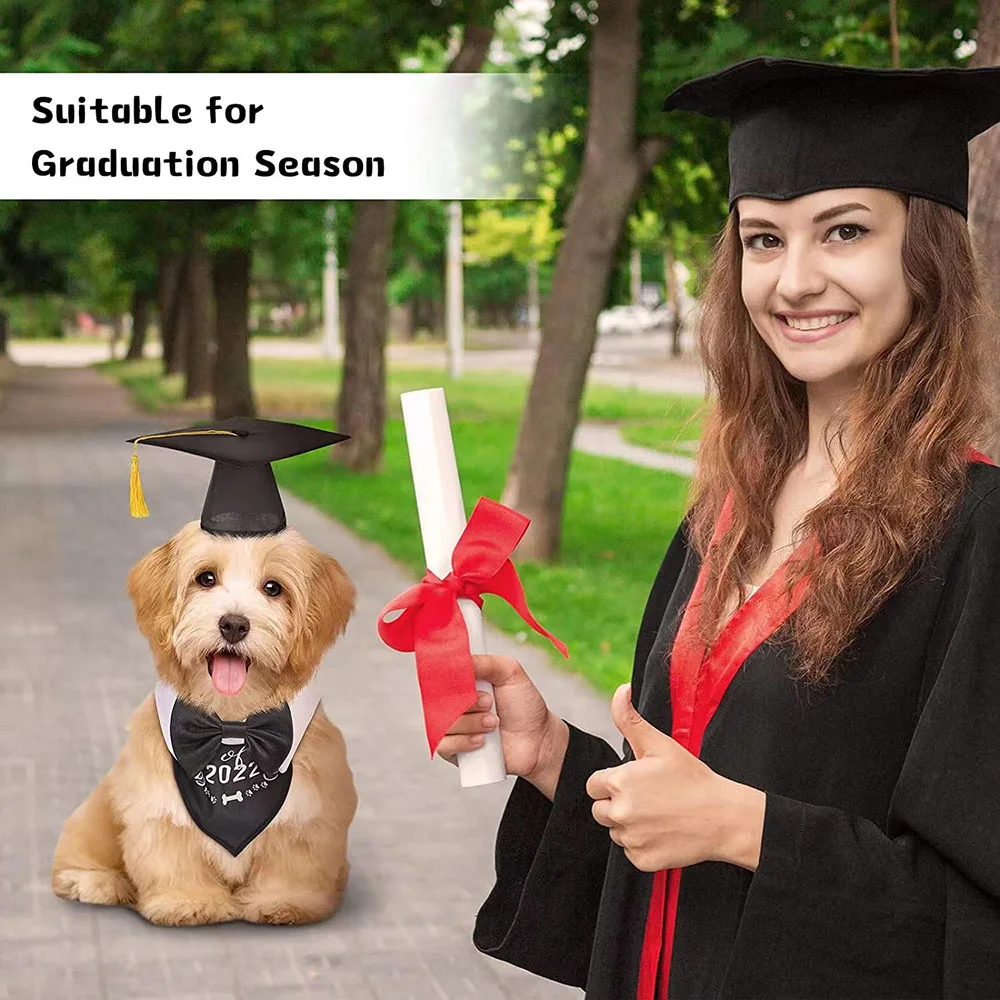 Dog graduation hi-res stock photography and images - Page 2 - Alamy